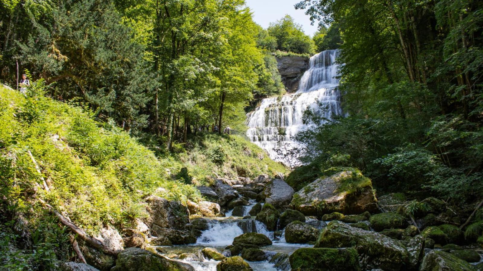 T2 Cosy Au Coeur Du Haut-Jura, Parking Gratuit Lejlighed Morbier Eksteriør billede